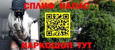 jwh Новокубанск