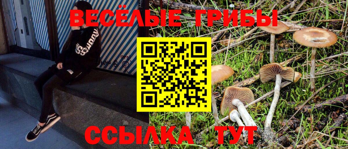 Псилоцибиновые грибы Psilocybine cubensis  Вход с VPN  Россошь  Псилоцибиновые грибы Psilocybine cubensis 